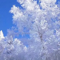 2018��ѩ��Ե������ѩ����ʼ��