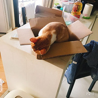 ��������ܶ����˵Ļ�ô