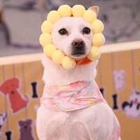 ������껪