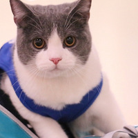 ������껪