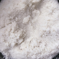 ������ζ��������