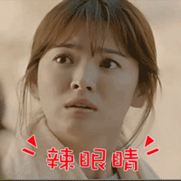 5��100���ã��������˱�ƭ95�����Ǹ߿Ƽ�����