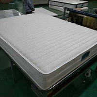 ���ʮ������