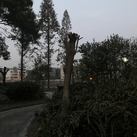 ������������Ϫ��԰С������ҵ�������Ĳ�������������Ϲ��