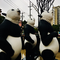 ���ּ���è�������������һ�߽�ȥ����Ϊ���˾ư�