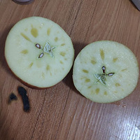 ��ǰ�ر𲻰���ƻ�����Դӳ�����Դ����ƻ��