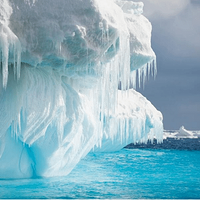 ȥ�ϼ����ζ���Ǯ���ǲ���ֻ����������ȥ��