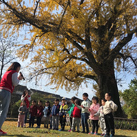 19¥����ű�������С���ѵ�÷������������