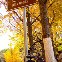 �������ڷ����ˣ�����һ��Ϲ��