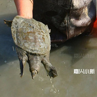 ũ����ע����!������һĶ�ﾻ׬2������ͨũ���10��