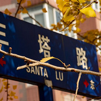 ���������ټ���