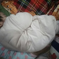 ������˯�ˡ�+С���������