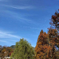 �������������Ŵ���֮һ   �ĳ����õ�ͼƬ