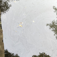 �����������ƴ���ʢ�Ƽ����޸���������