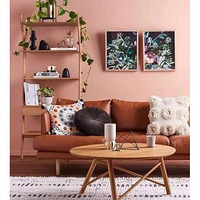 װ�޼Ҿ�ɫ�ʴ��似�ɣ��벻�߼�����! ????