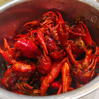 ���ɣ���������������