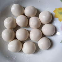 [�����ʲô]�������ֿ�ζ���а�֥�顢��֥�顢Ҭ˿Ŵ���򣡣�