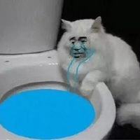 ��������֤������Ƭʱ ������������3�� ��������ѡ������Ƭ��