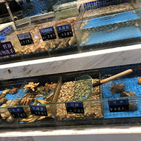 ���ڵ�ʲô�� ¡�ۺ��ʹ�������~~