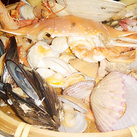 �������ʲô��---���Ѿۻ�¡�ۺ�����һ��