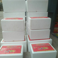 �Ϸ�����