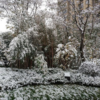 ѩ���Ϸ���Զ��ô�ܻ�ӭ����������ͼ��