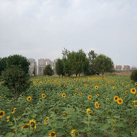 �����̵������У����еĺõط�