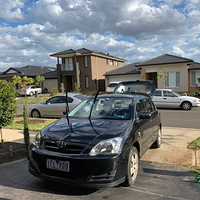 ʥ������