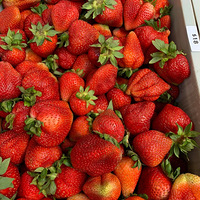 ī������mornington