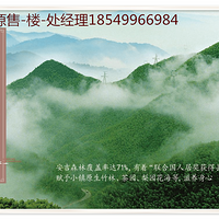 2018�����̳ǰ����һ�Դ�����������һ�Դ��ͼ�Ľ���!