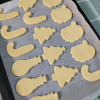 ʥ����˪����ר��