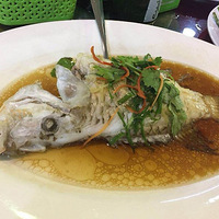 ɳ�͵ĺ�����ʳ