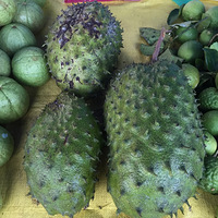 ��Щˮ���ܽг�ȫ�����ֵ�����ţ