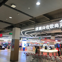 ŷ������æ