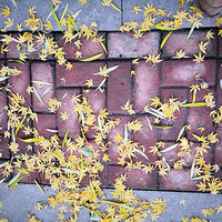 �߹�·����Ҫ��������