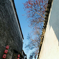 ��˵�����м��ˣ�