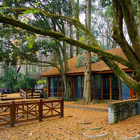 ��Ϫ����~~~