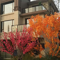 �����Ϻ�������ת�֣�������ת��