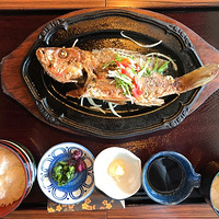 #�߹���2018#׷���ص��ഺ�ػ�