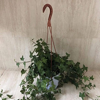 ·�ߵ�Ұ����Ҫ�ɣ���������������Ϊ͵�����С���