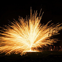 �������������~~~