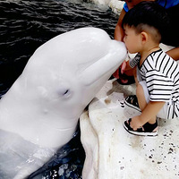 ��2018���޳��μǡ�+�ͺ��������Ӵ�