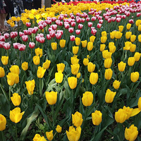 #�߹���2018#�˼�������