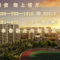 �����ٰ��������¡�VS���ٰ��������¡���������Ϣ