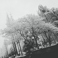 Ԫ���ĵ�ѩ��