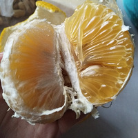 �����̺���