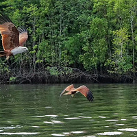 #�߹���2018# ��ʮ������������ľ��ʻ���