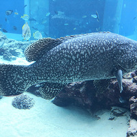 �������ֺ�����о����Ҹ�