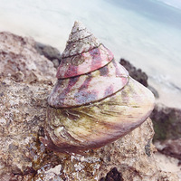 ��������һ��