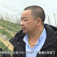 �Բ����ݮ�ˣ����ڲ�ݮ��ô�� ԭ��������Ϊ�����